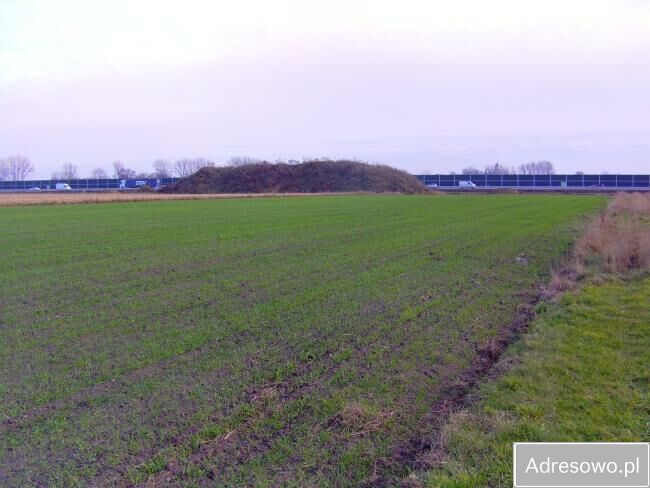 Działka inwestycyjna Wiskitki. Zdjęcie 6