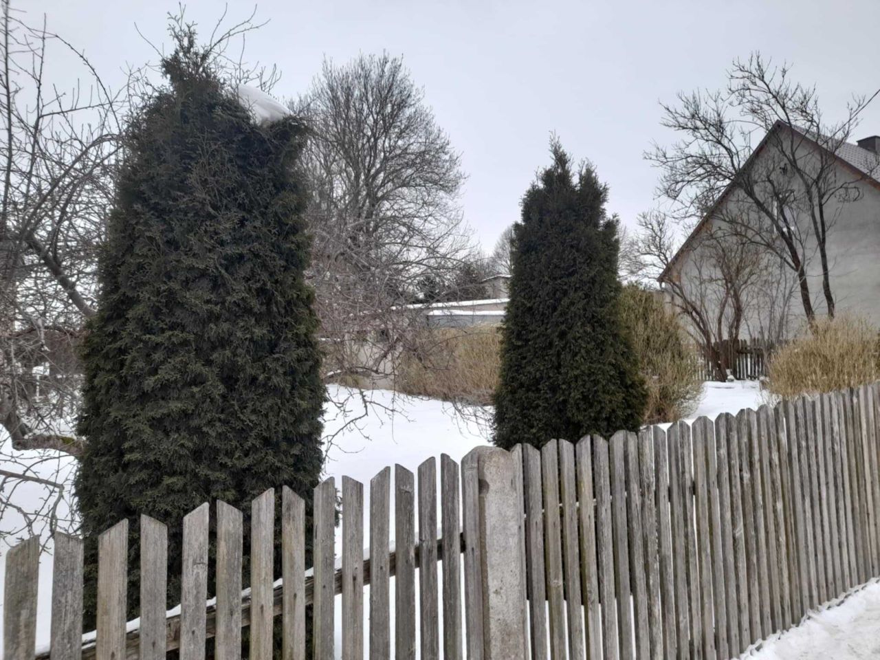 dom wolnostojący, 3 pokoje Ciche. Zdjęcie 8