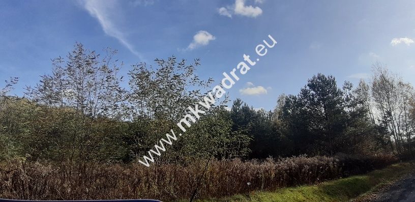 Działka budowlana Szczęsne. Zdjęcie 3