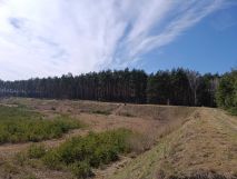 Działka inwestycyjna Mórkowo. Zdjęcie 4