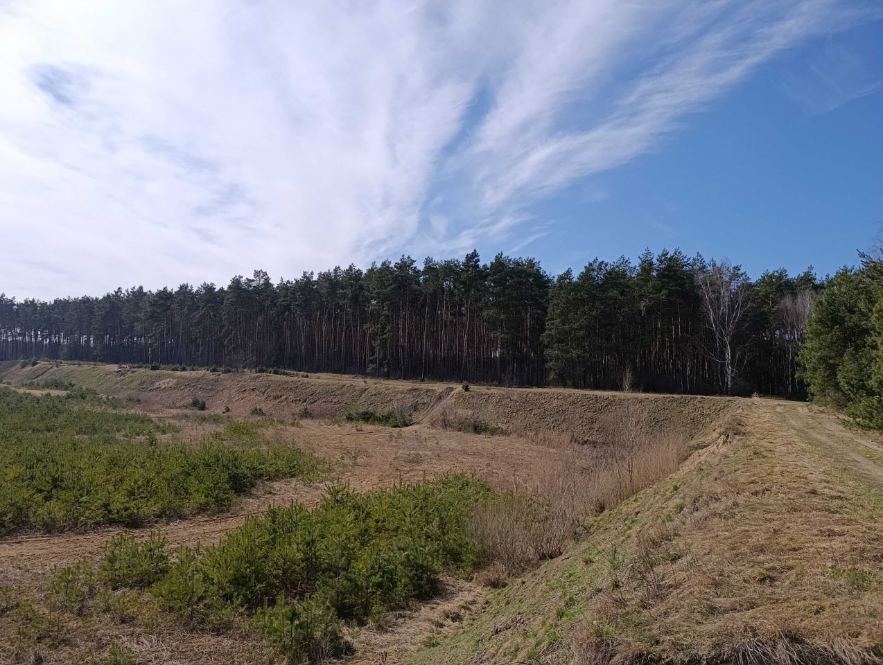 Działka inwestycyjna Mórkowo. Zdjęcie 5