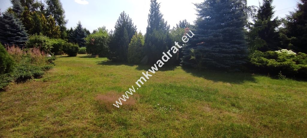 siedlisko, 3 pokoje Budy Wolskie. Zdjęcie 19