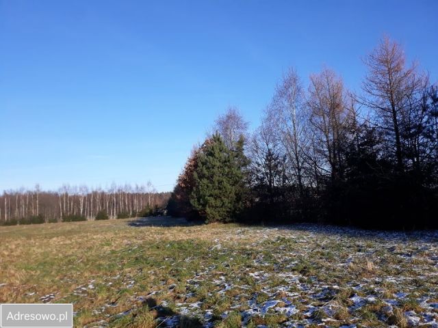 Działka budowlana Jankowice Podlesie, ul. Sarenek. Zdjęcie 1