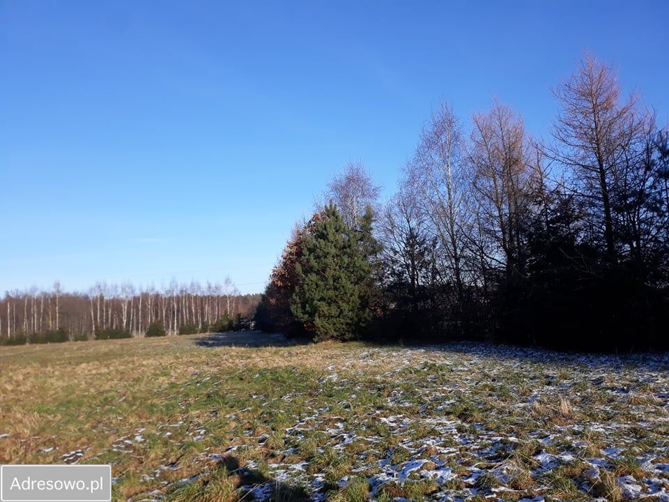 Działka budowlana Jankowice Podlesie, ul. Sarenek