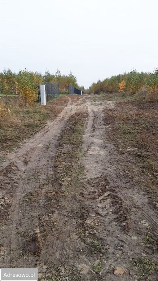 Działka rolno-budowlana Jania Góra. Zdjęcie 8