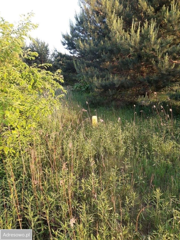 Działka budowlana Głogów Małopolski, ul. Gryczana . Zdjęcie 6