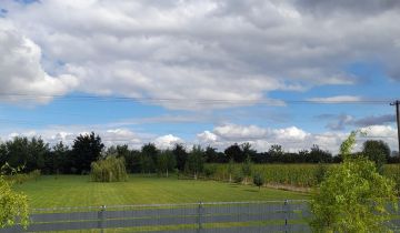 Działka budowlana Cienin Zaborny