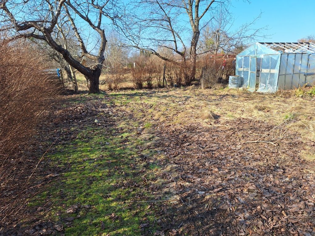Działka rod Słupsk, ul. Bohaterów Westerplatte. Zdjęcie 5