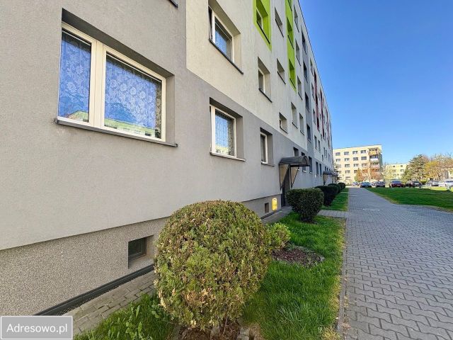 Mieszkanie 3-pokojowe Zabrze Centrum, ul. Dionizego Trocera. Zdjęcie 1