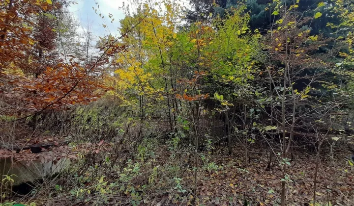 Działka budowlana Rusiec