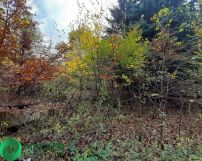 Działka budowlana Rusiec