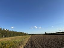 Działka leśna Charytany Zamiśnie. Zdjęcie 2