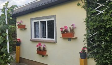 Działka rod Międzychód