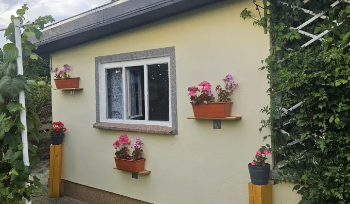 Działka rod Międzychód