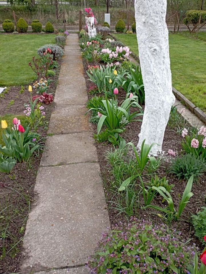 Działka rod Jastrzębie-Zdrój. Zdjęcie 4