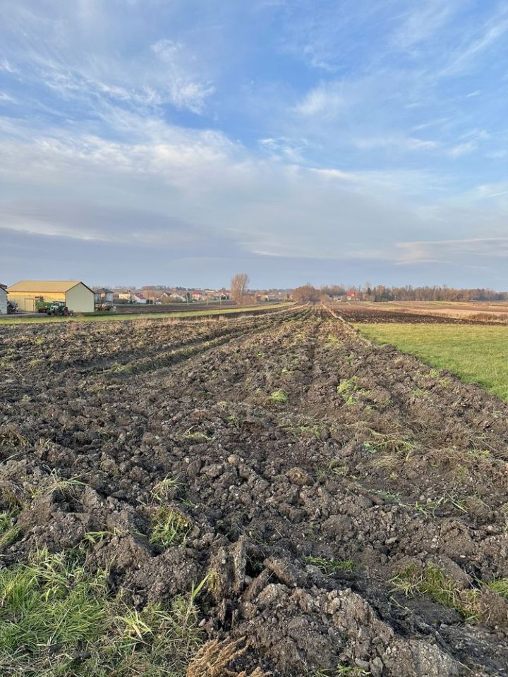 Działka budowlana Skalbmierz