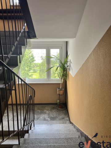 Mieszkanie 3-pokojowe Wrocław Różanka, ul. Obornicka. Zdjęcie 15