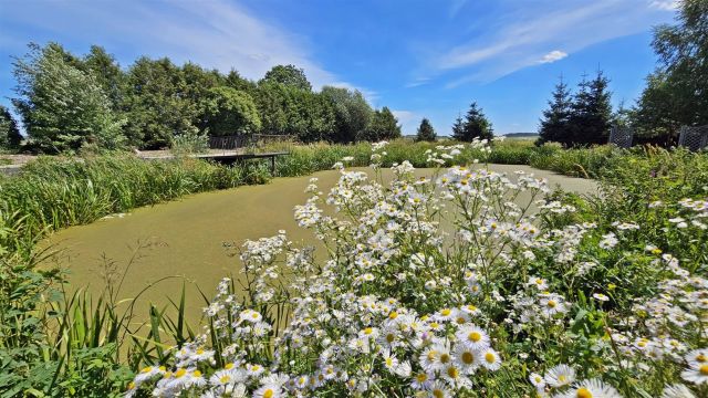 dom wolnostojący, 4 pokoje Grodzisko. Zdjęcie 22