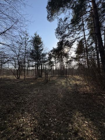 Działka leśna Nadkole. Zdjęcie 1