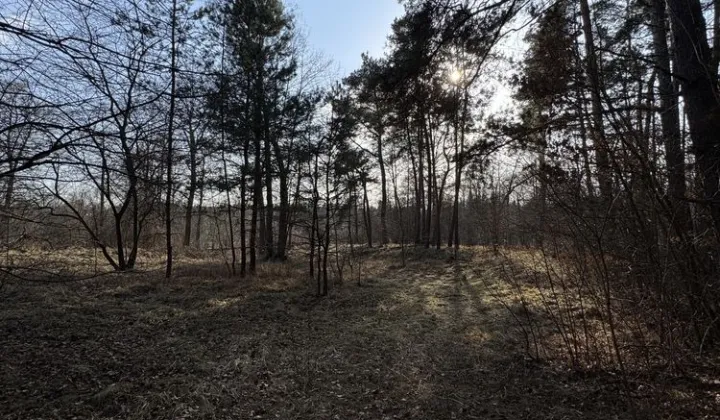 Działka leśna Nadkole