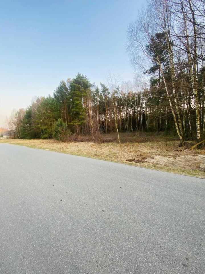 Działka budowlana Kotwasice. Zdjęcie 3