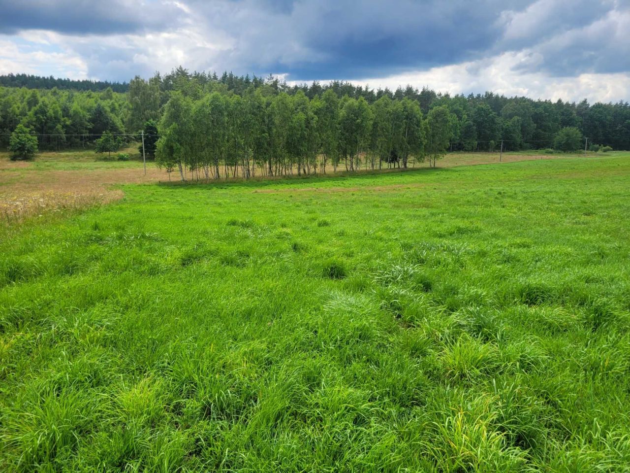 Działka rolna Sierakowo Sławieńskie. Zdjęcie 4