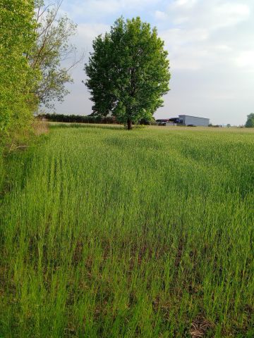 Działka budowlana Kręgi Nowe, Kręgi Nowe. Zdjęcie 3