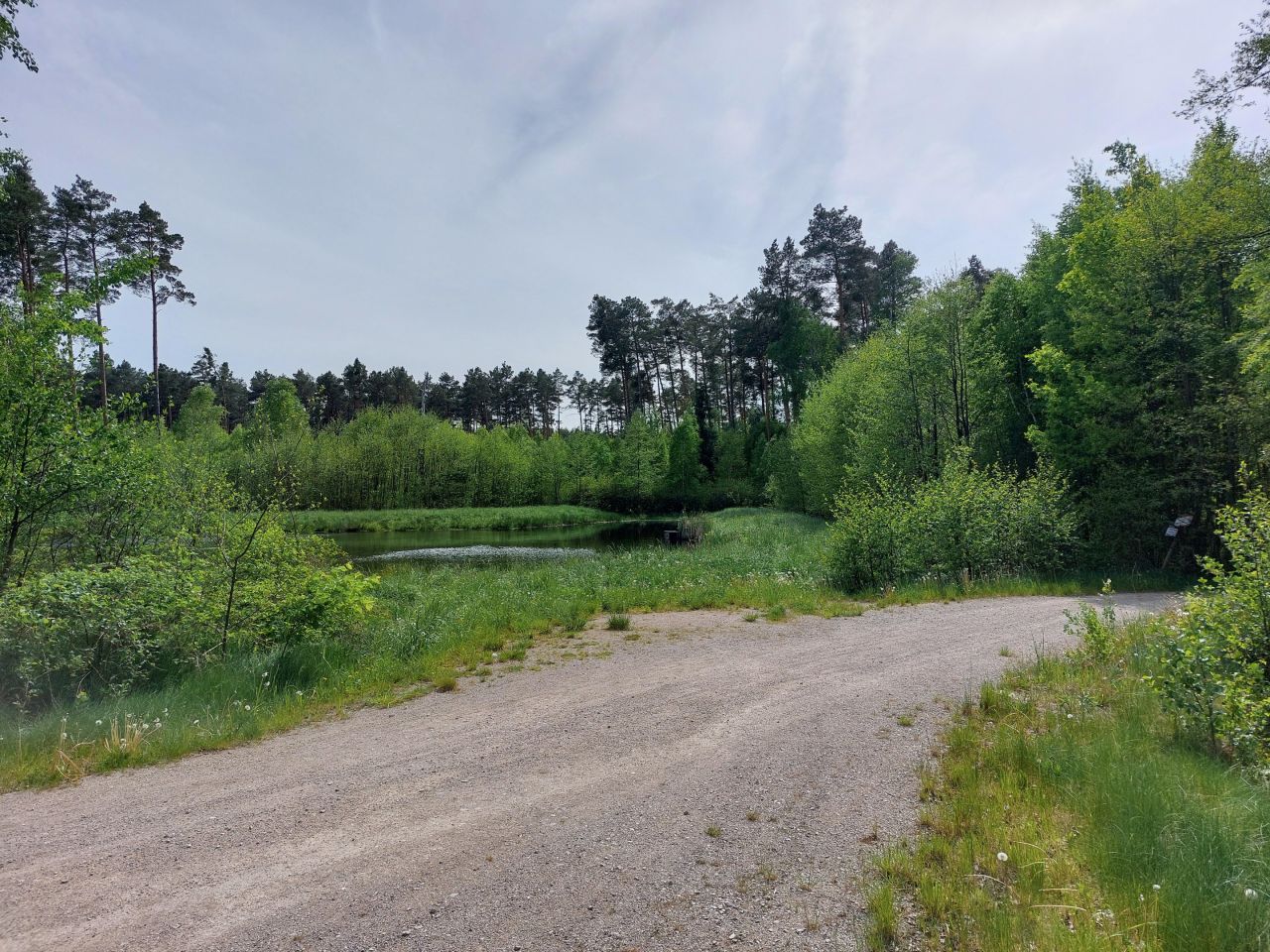 Działka rekreacyjna Starzechowice Sęp, BRAK. Zdjęcie 15