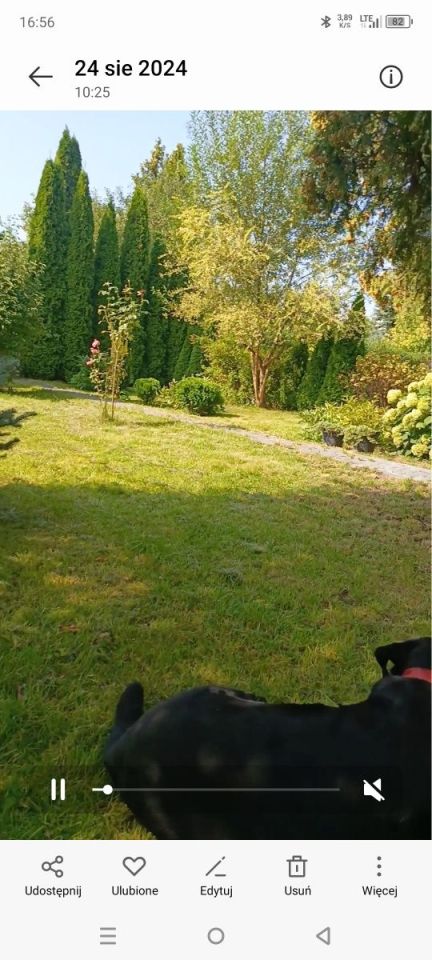 Działka rod Łódź Bałuty, ul. Telefoniczna. Zdjęcie 8