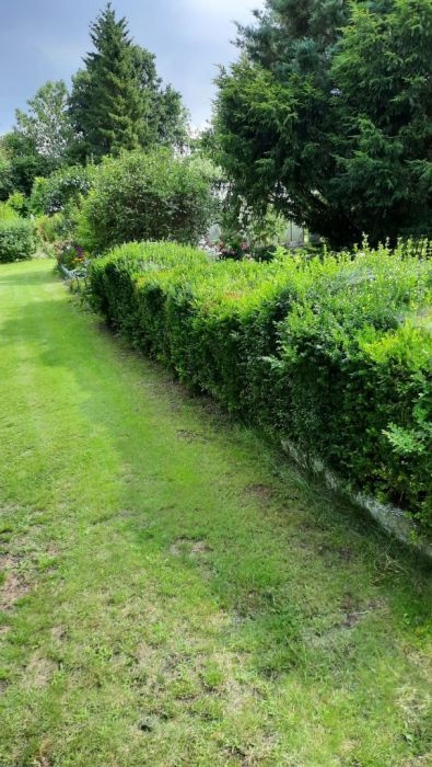 Działka rod Gdańsk Oliwa. Zdjęcie 11