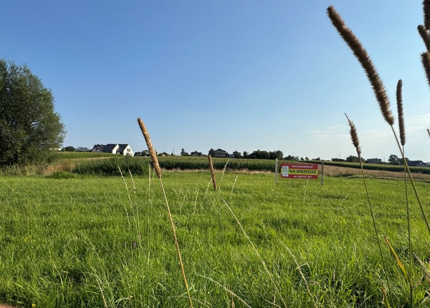 Działka rolno-budowlana Wieszowa. Zdjęcie 11