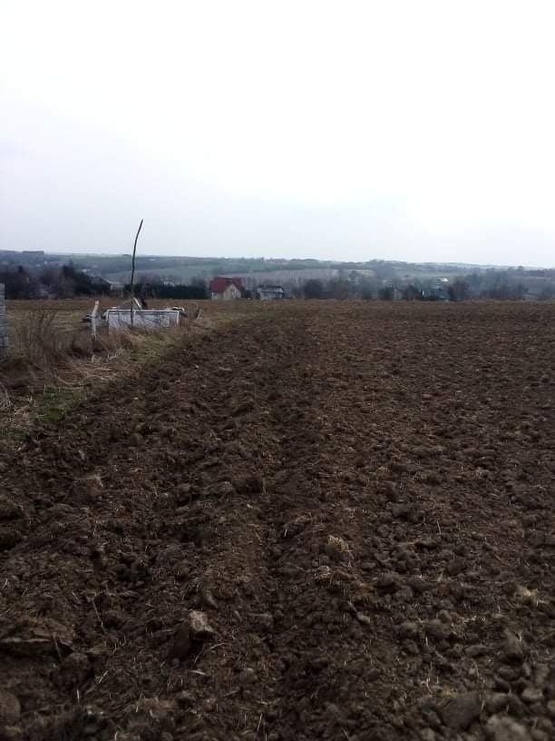 Działka Sieciechowice. Zdjęcie 6