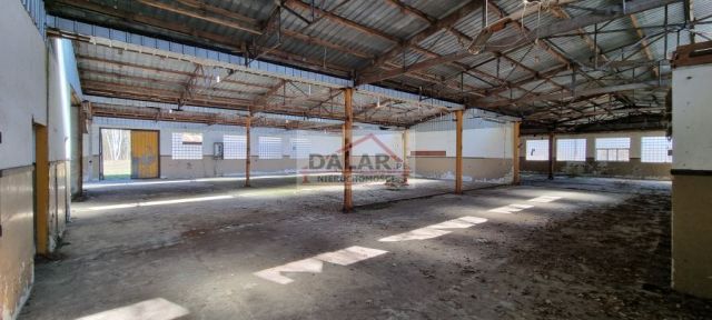 Lokal Sierzchów. Zdjęcie 8