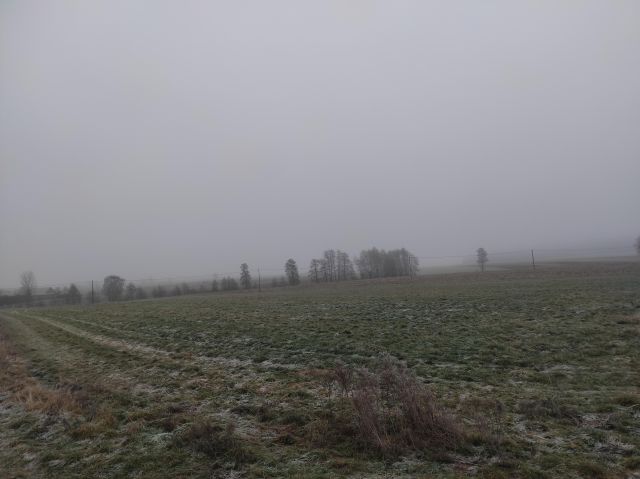 Działka rolno-budowlana Bieździadów. Zdjęcie 1