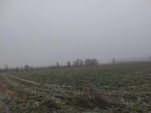 Działka rolno-budowlana Bieździadów