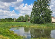 Działka budowlana Radom Wólka Klwatecka. Zdjęcie 4