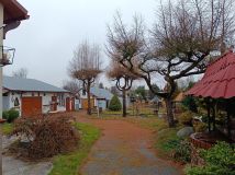 dom wolnostojący, 6 pokoi Narew, ul. Dąbrowskiego. Zdjęcie 3