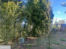 Działka rod Poznań Edwardowo, ul. Bukowska. Zdjęcie 4