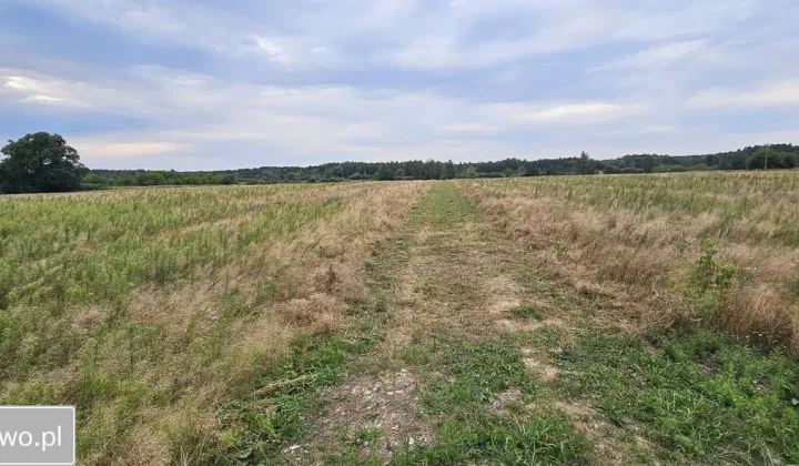Działka budowlana Sawin