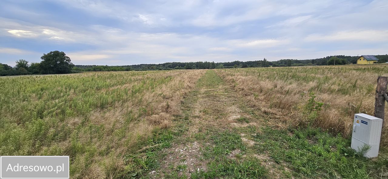 Działka budowlana Sawin. Zdjęcie 1