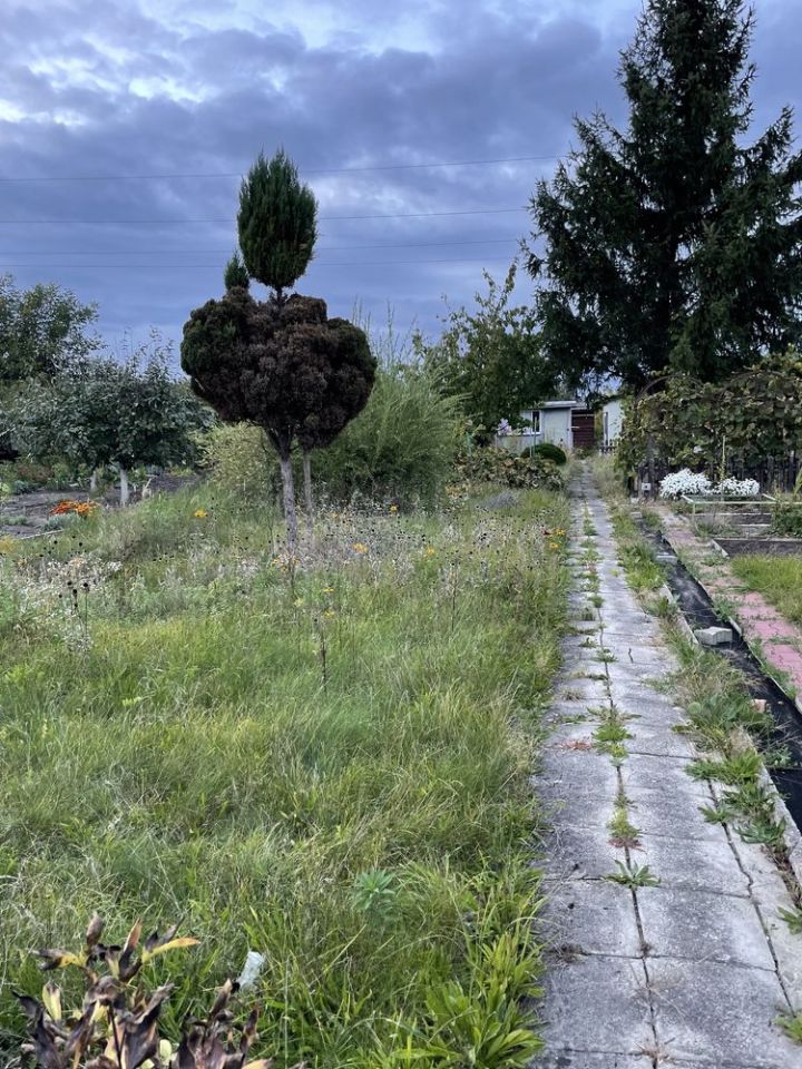 Działka rod Wrocław Stare Miasto, ul. Klecińska. Zdjęcie 2