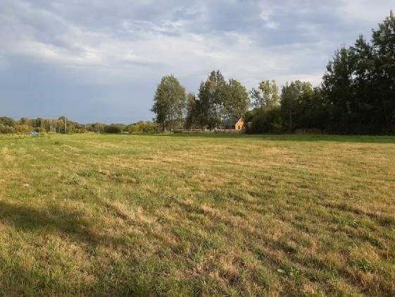 Działka rolno-budowlana Słubica Dobra, ul. Słoneczna. Zdjęcie 3