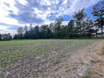 Działka budowlana Frelichów. Zdjęcie 4