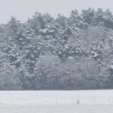 Działka rolno-budowlana Grabów-Wójtostwo, os. Leśne. Zdjęcie 4