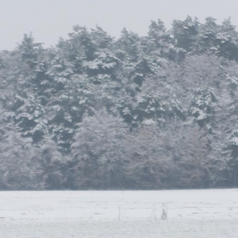 Działka rolno-budowlana Grabów-Wójtostwo, os. Leśne. Zdjęcie 5