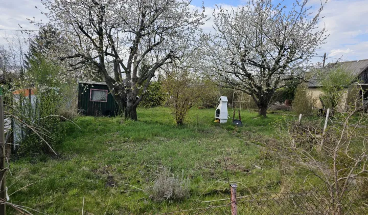 Działka rod Gorzów Wielkopolski, ul. Drozdowa