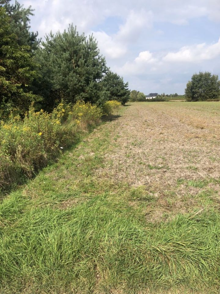 Działka budowlana Przecław, ul. Leśna. Zdjęcie 5