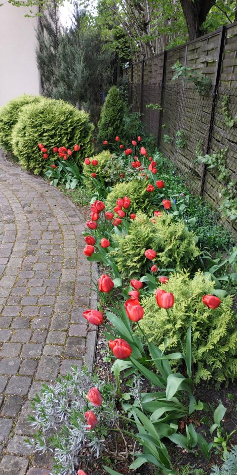 dom wolnostojący, 6 pokoi Łódź Górna, ul. Obywatelska. Zdjęcie 29