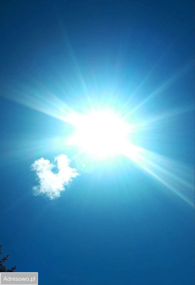 dom wolnostojący, 4 pokoje Sobótka Górka. Zdjęcie 9