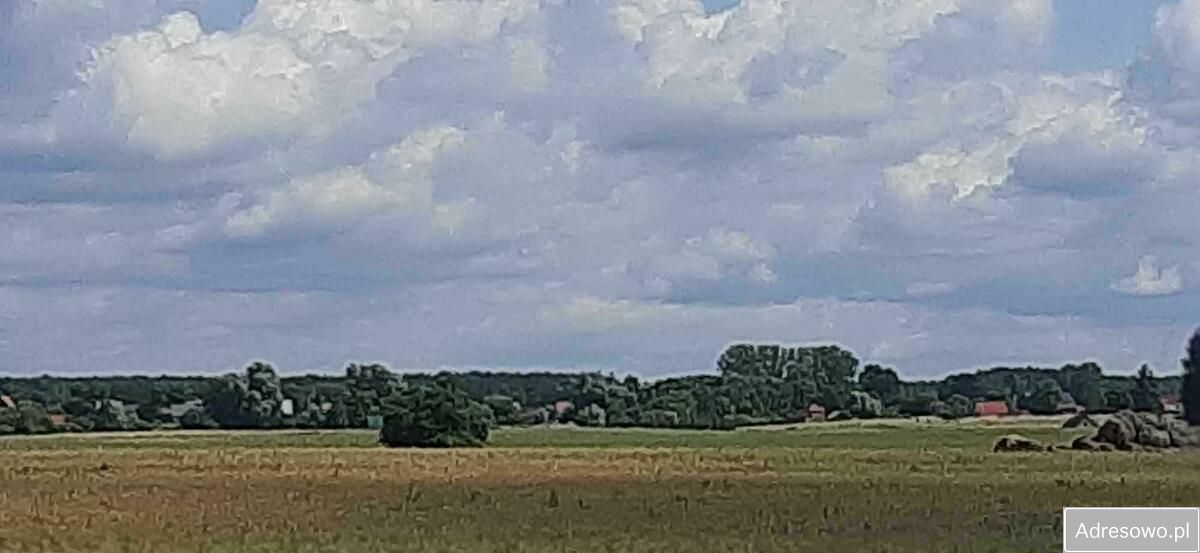 Działka rolna Zdory. Zdjęcie 7